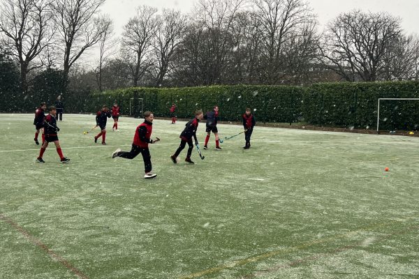 Snowy hockey 2