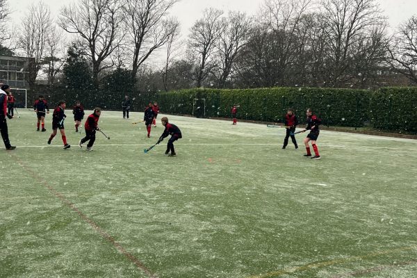 Snowy hockey